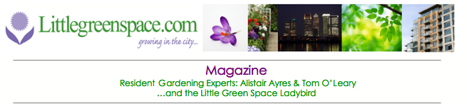 Little Green Space - Magazine
