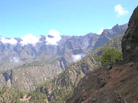 Trabajo del medio natural de La Palma: 4º MUNICIPIO