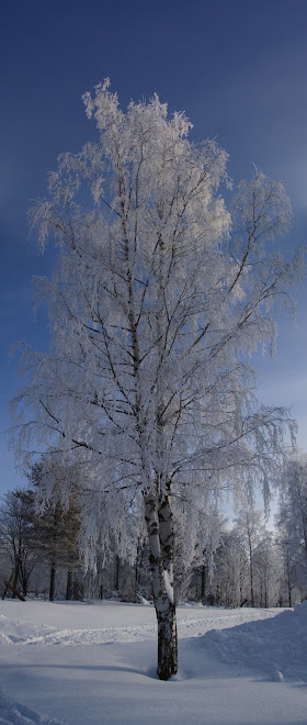 Vinter