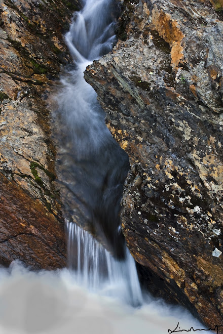 Down in the River