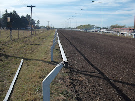 Hiporrecta Viale, Entre Ríos.-
