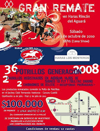 HARAS RINCON DEL AGUARA