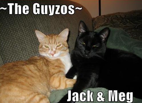 ~The Guyzos~