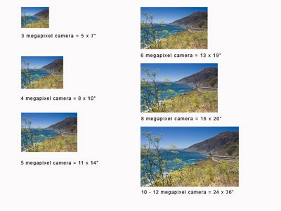 D.Gould Photography: How Many Megapixels Do I Really Need