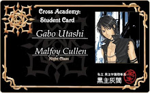 Academy Cross carnet