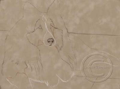 Step one- line drawing of dog