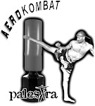 Logo Aerokombat