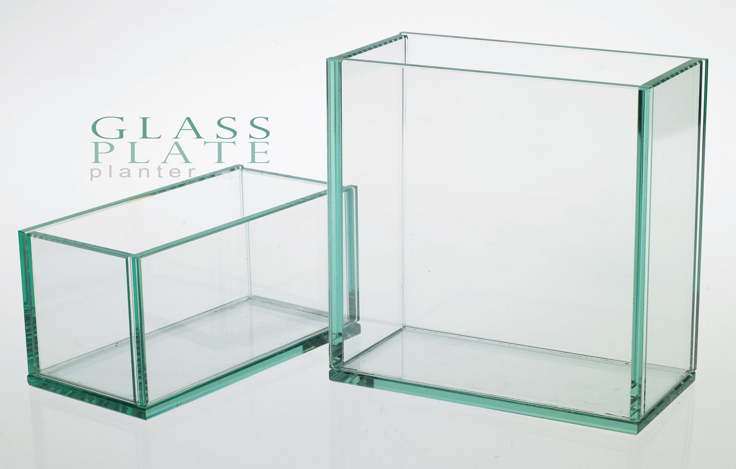 [GlassPlateT2.jpg]