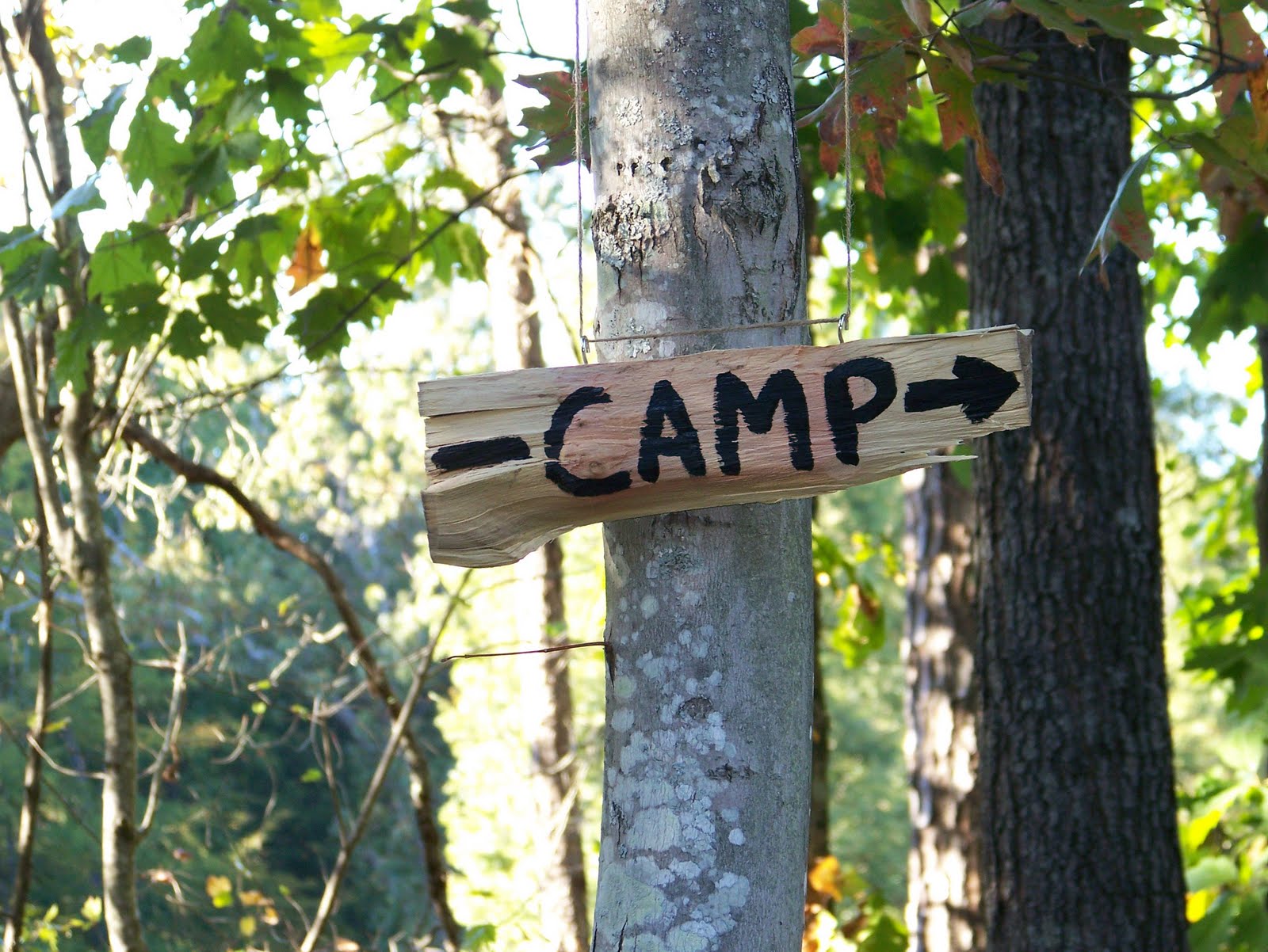 a place called joy: camping party.