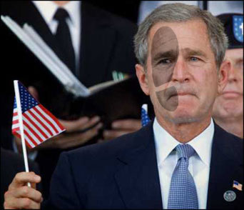 [sad_bush.jpg]
