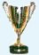 Coppa delle Coppe 1998-1999