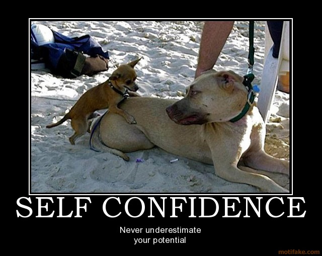[self-confidence-demotivational-poster-1202777058.jpg]