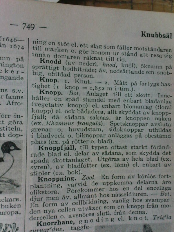 [image-upload-139-742253.jpg]