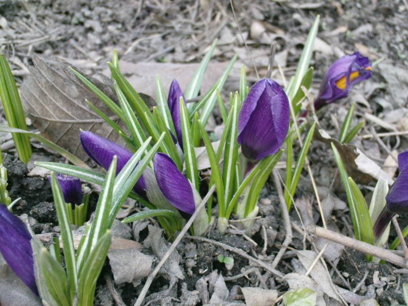 [image-upload-21-759289.jpg]