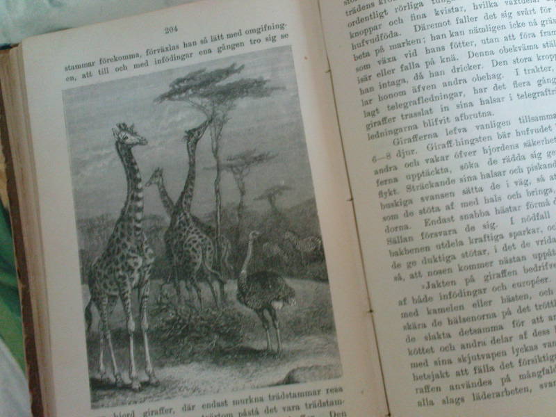 [image-upload-381-738099.jpg]