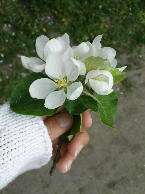 [image-upload-18-727177.jpg]