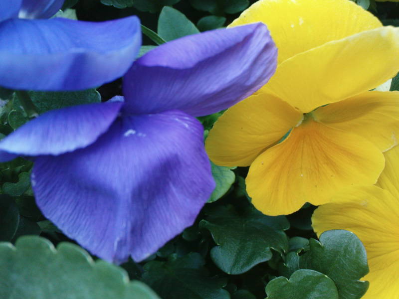 [image-upload-187-702241.jpg]