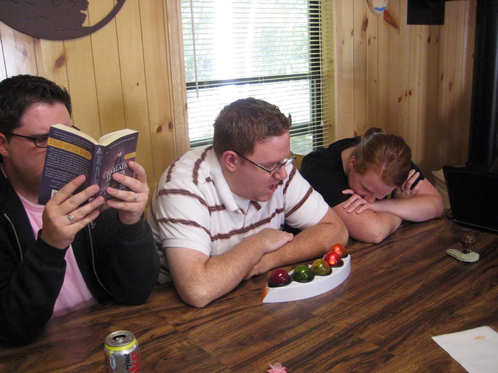 [cabin+9-07-08+003.JPG]