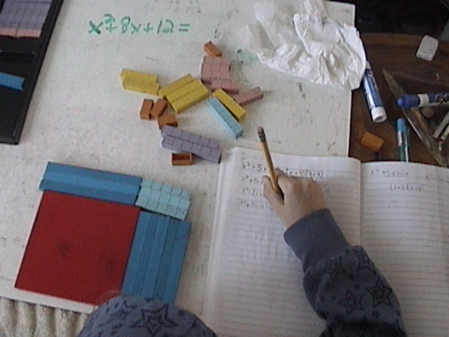 Crewton Ramone's Blog of Math: 7 And 8 Year Old Algebra And Math Facts