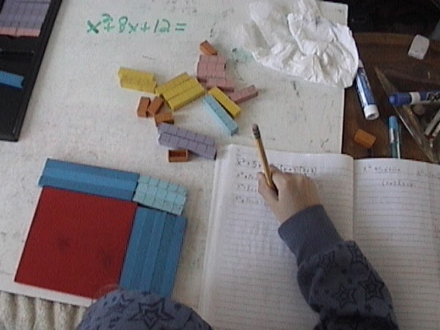 Crewton Ramone's Blog of Math: 7 And 8 Year Old Algebra And Math Facts