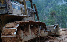 Shin Yang Bulldozer Overlooking Destruction of Yet Another NCR Land Area