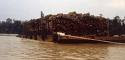Sarawak's Timber Wealth Being Barged Down The River