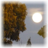 A Perigree Moon in Napa