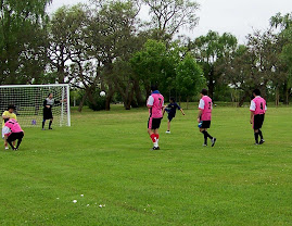 La Plata 2008
