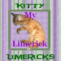 Kitty Limericks