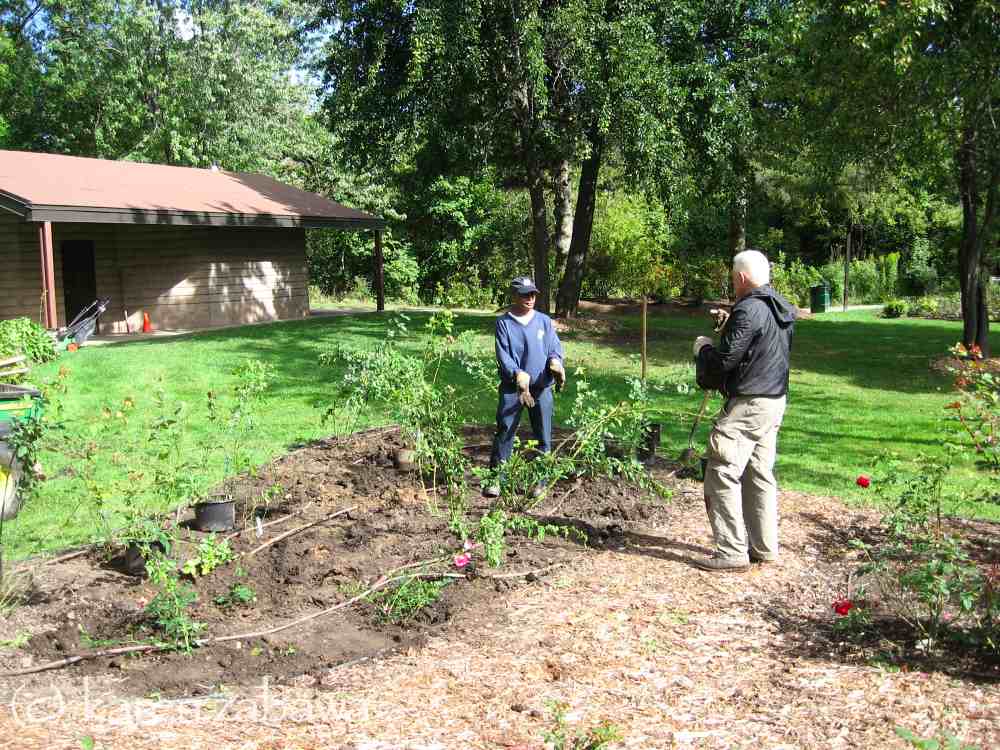 Brueckner Rhododendron Gardens Pine Needle Mulch, Compost
