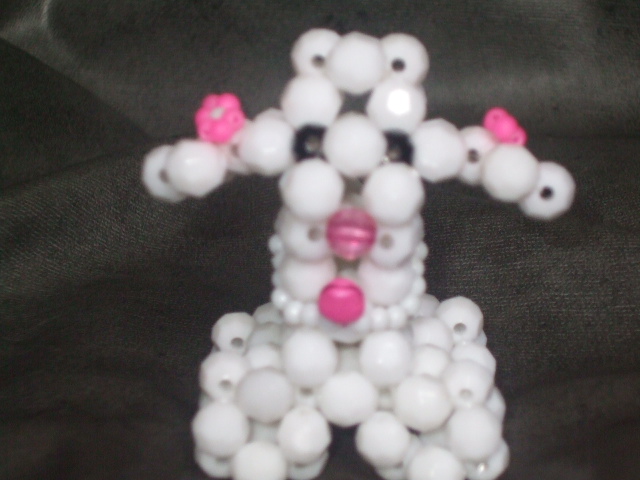 Poodle Adulto - Frente