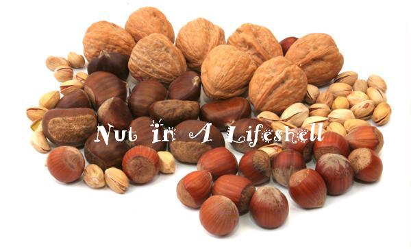 Nut in A Lifeshell