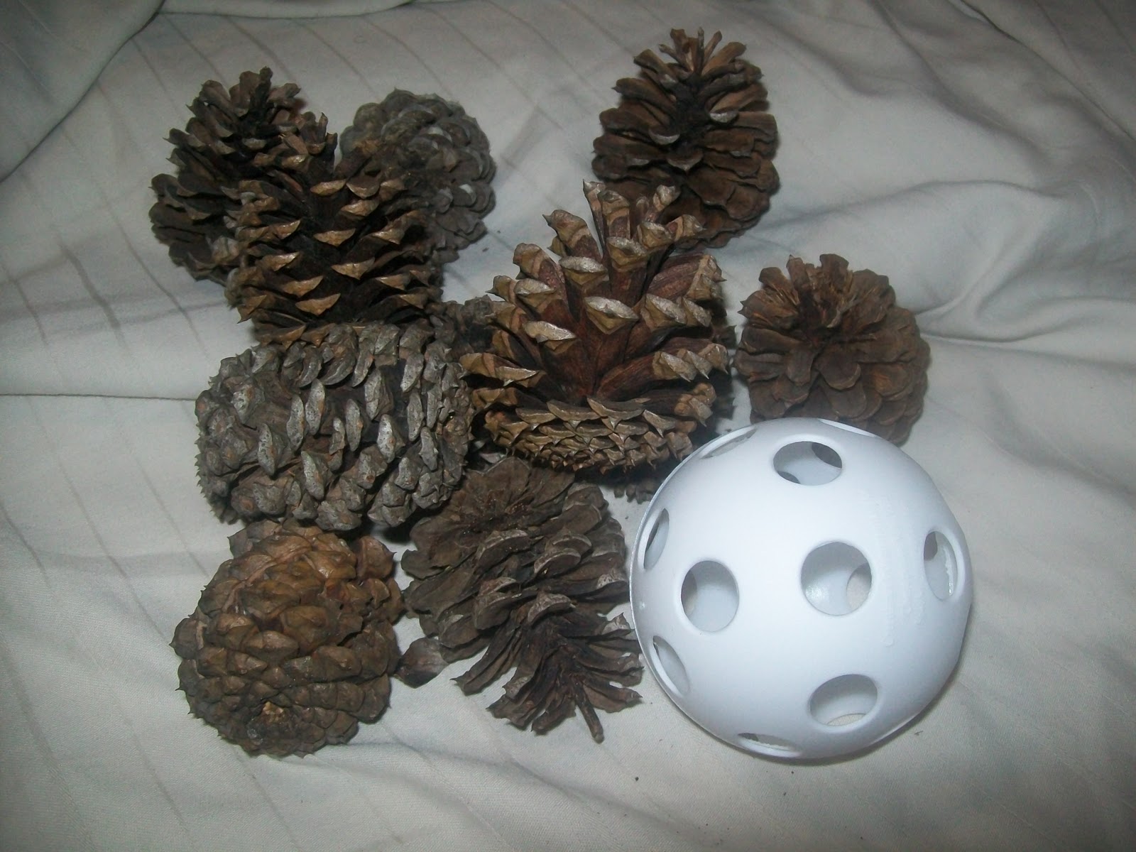 pinecone kissing ball Buildeth Her House