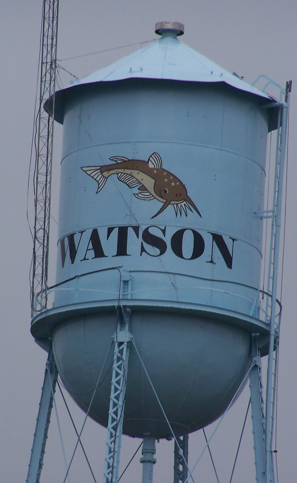 Outlaw's HideOut 2010 50th Annual Watson Fish Fry