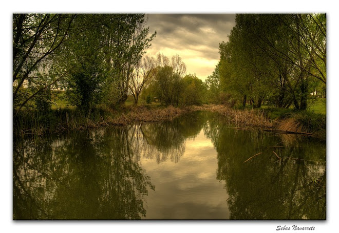 Arroyo de la Recomba. Primavera 2009