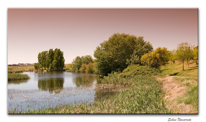 Laguna de la Recomba. Primavera 2009