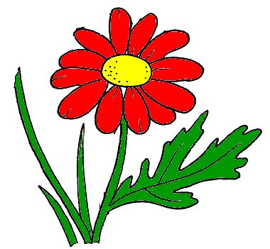 Minha  margarida
