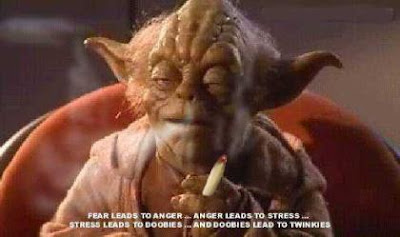 Yoda - 'Fear leads to anger, anger leads to stress, stress leads to doobies and doobies lead to twinkies...'