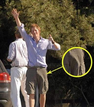 who is prince harry father. prince harry father