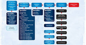PADI Flow Chart