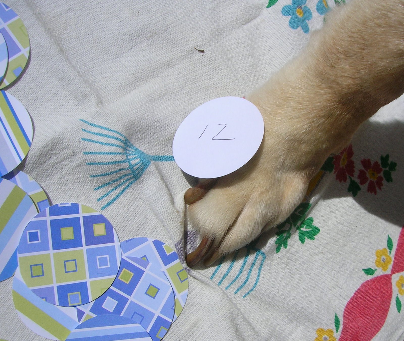 [lottery+homer_showing_number.jpg]