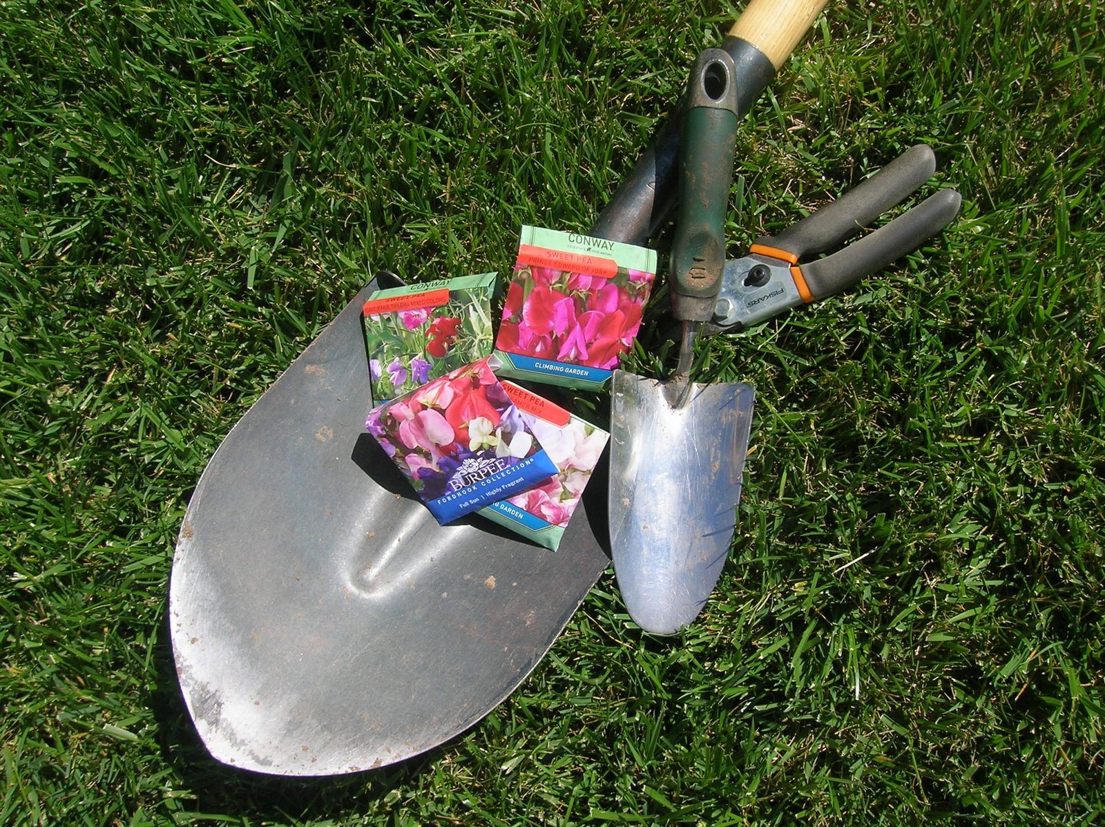 [Fairytale_tools.JPG]