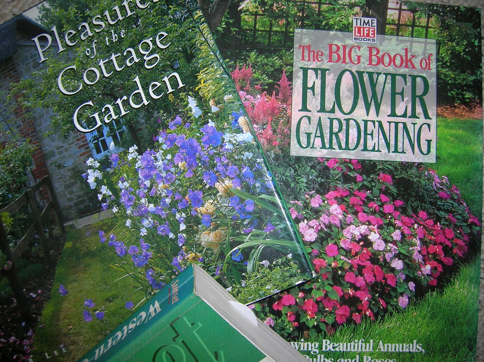 [fourth_post_garden_books.JPG]