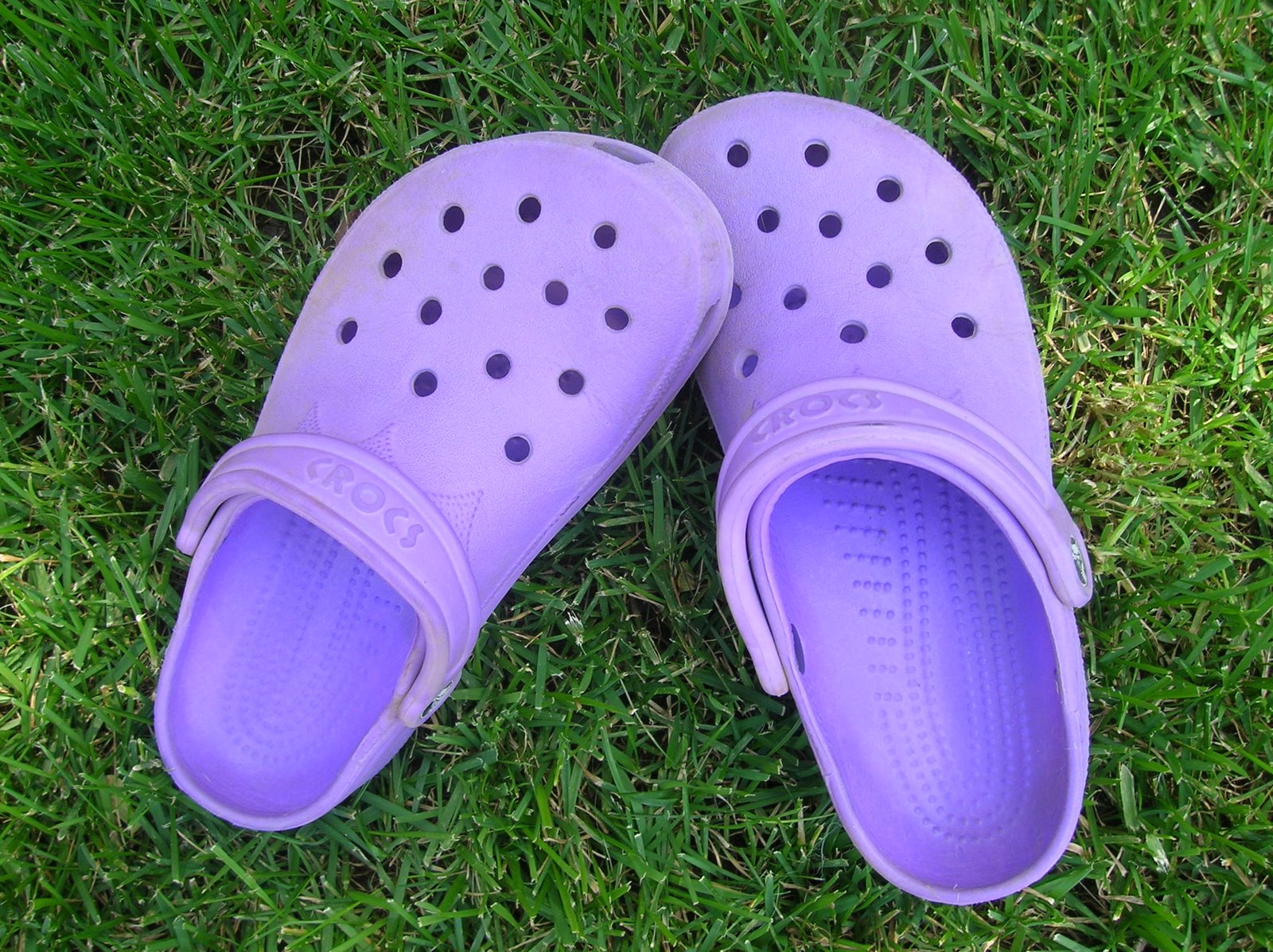 [fourth_post_purple_crocs.JPG]