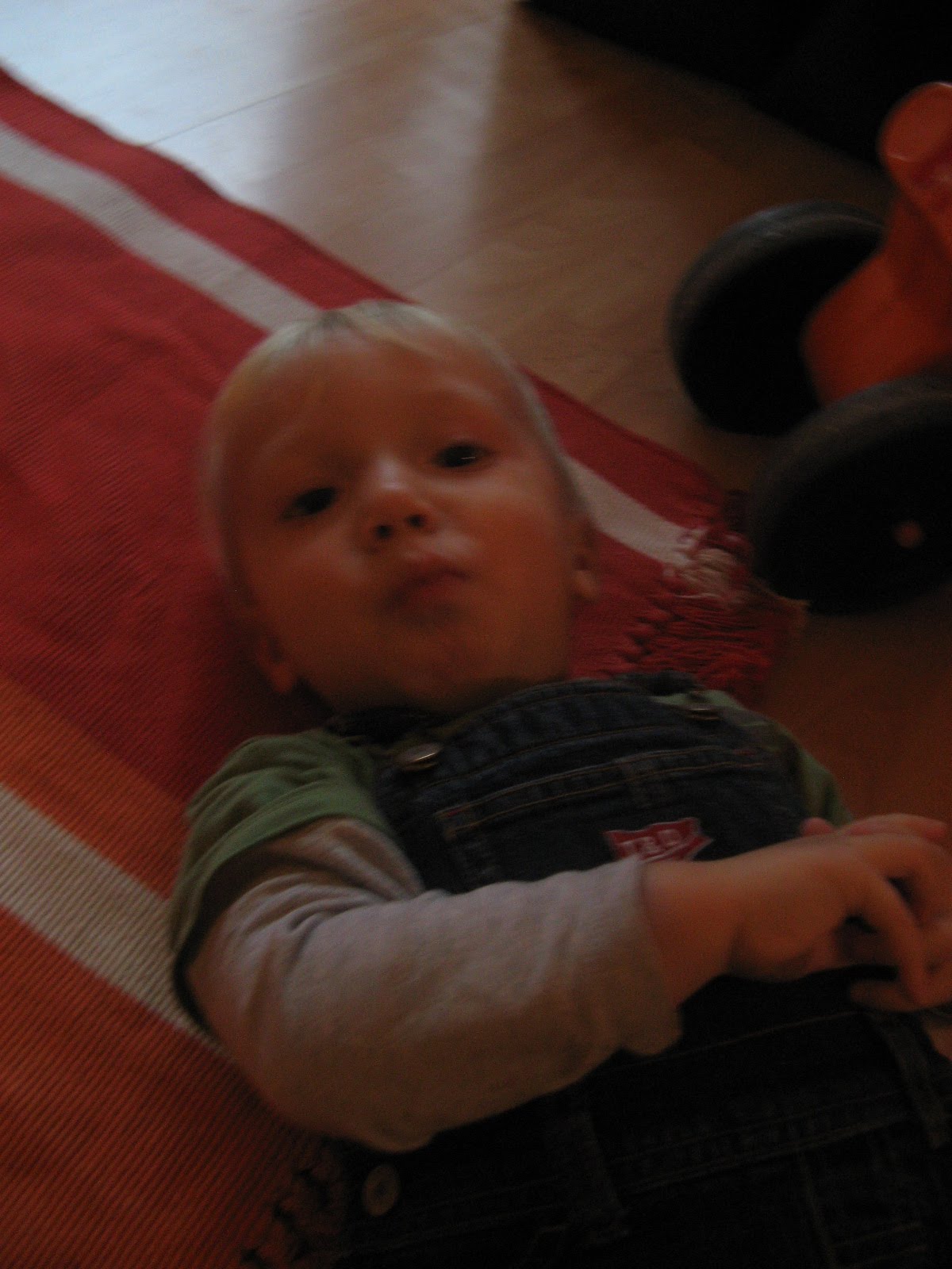 [IMG_2829.JPG]