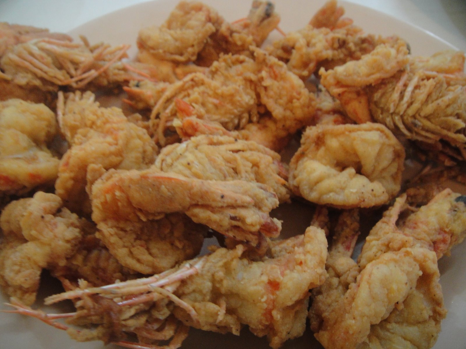 [DSC01113.JPG]