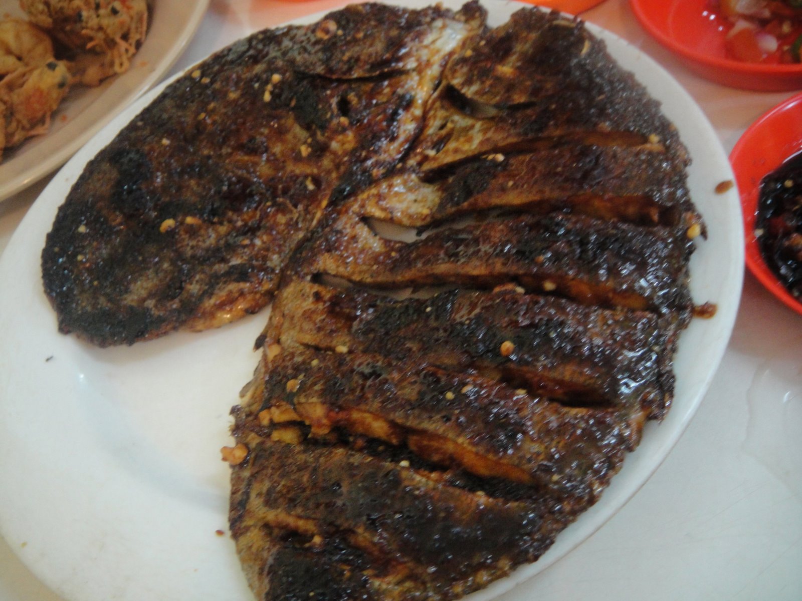 [DSC01117.JPG]