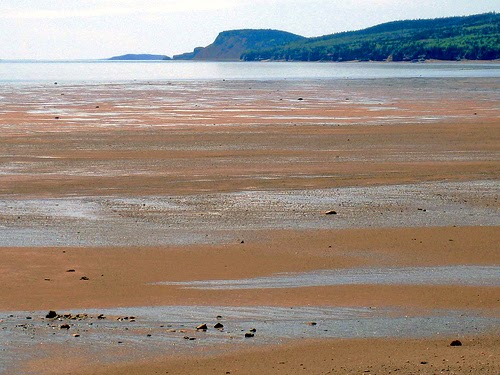 Bay of Fundy Blog: How to 'see' the tides - 2nd way