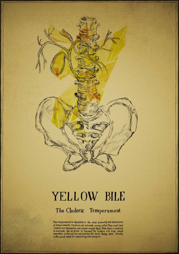 Suivre Amely Irina Sidorova's 4 Humours