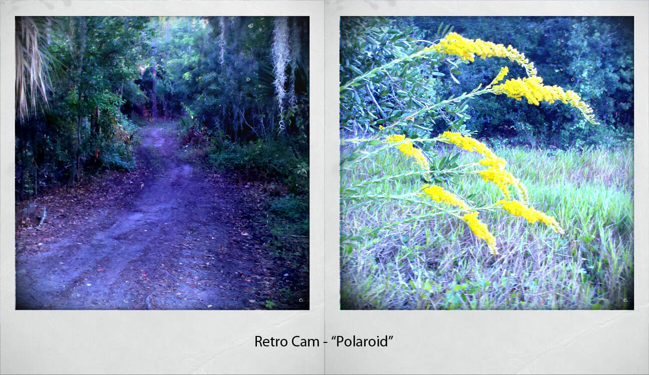 Florida Image Tools Retro Cam app for Android camera/phones